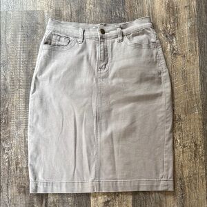 Gray Women's Denim Skirt